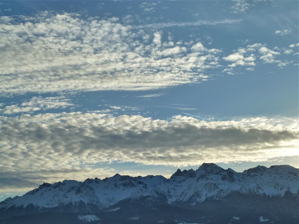 ça moutonne... (M. Alter)