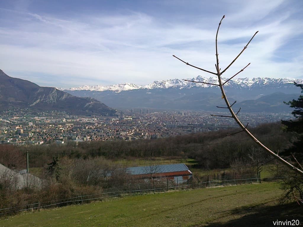 Ce midi dans les Vouillands