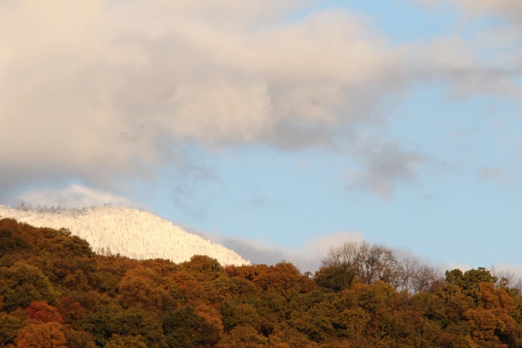 Ce n'est pas encore l'hiver (EL)