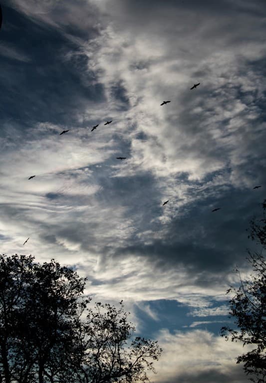 Ciel saisissant (EL)