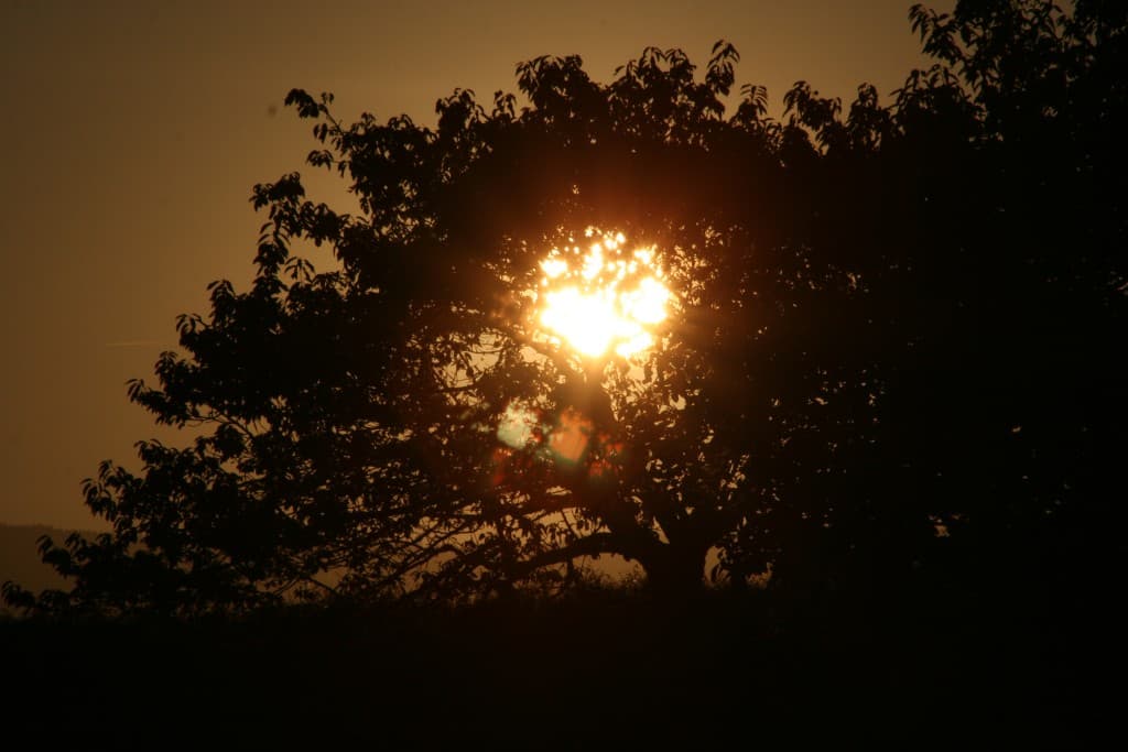 coucher de soleil  (N.M)