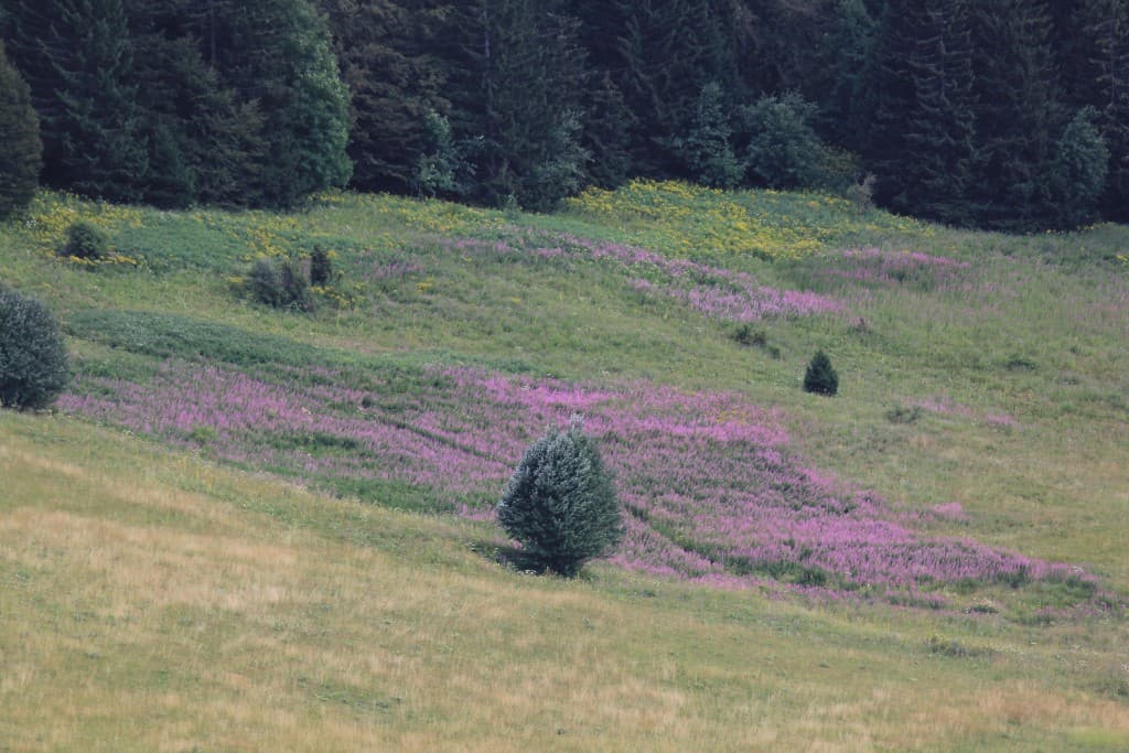 couleurs Vercors (phi)