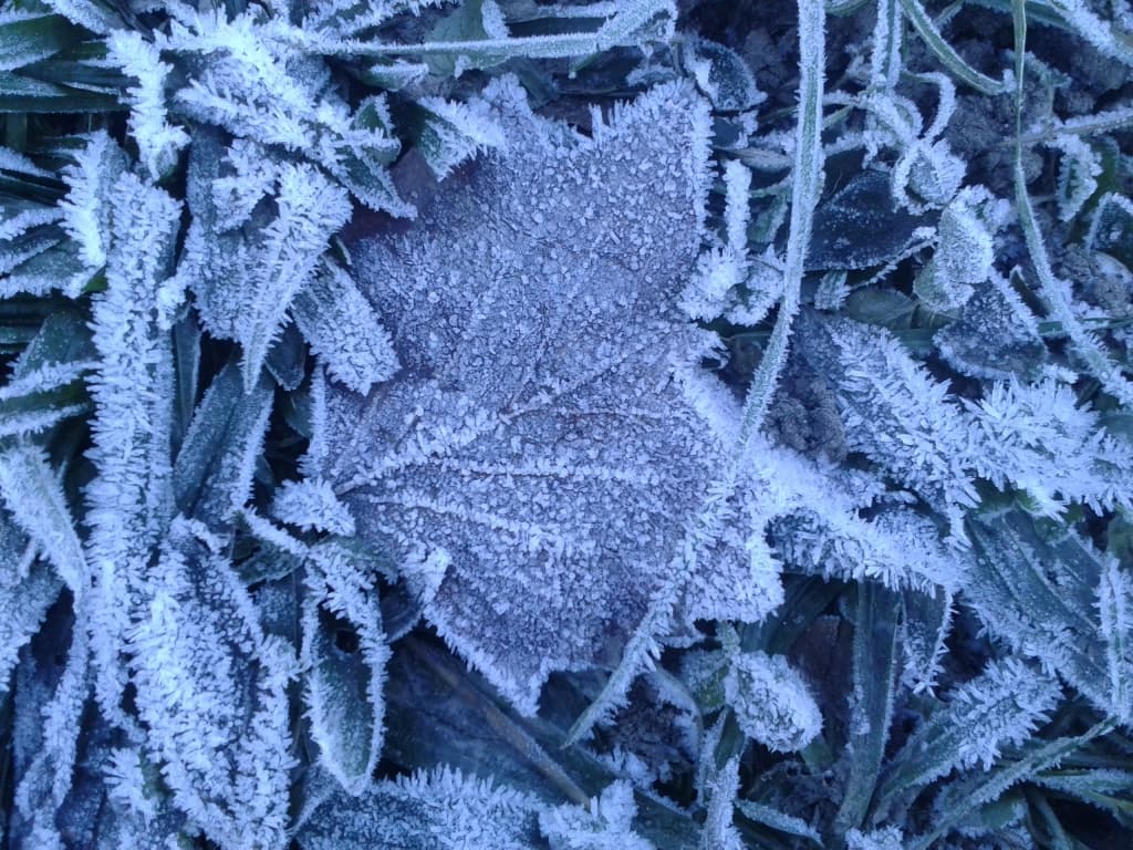 Cryogénisation