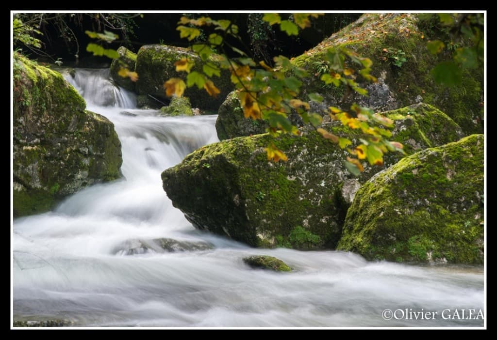 Cuves de Sassenage (38)