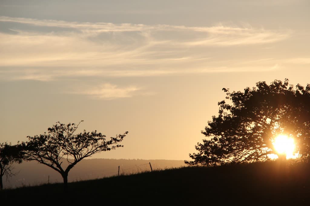 douceur d'un soir (EL)