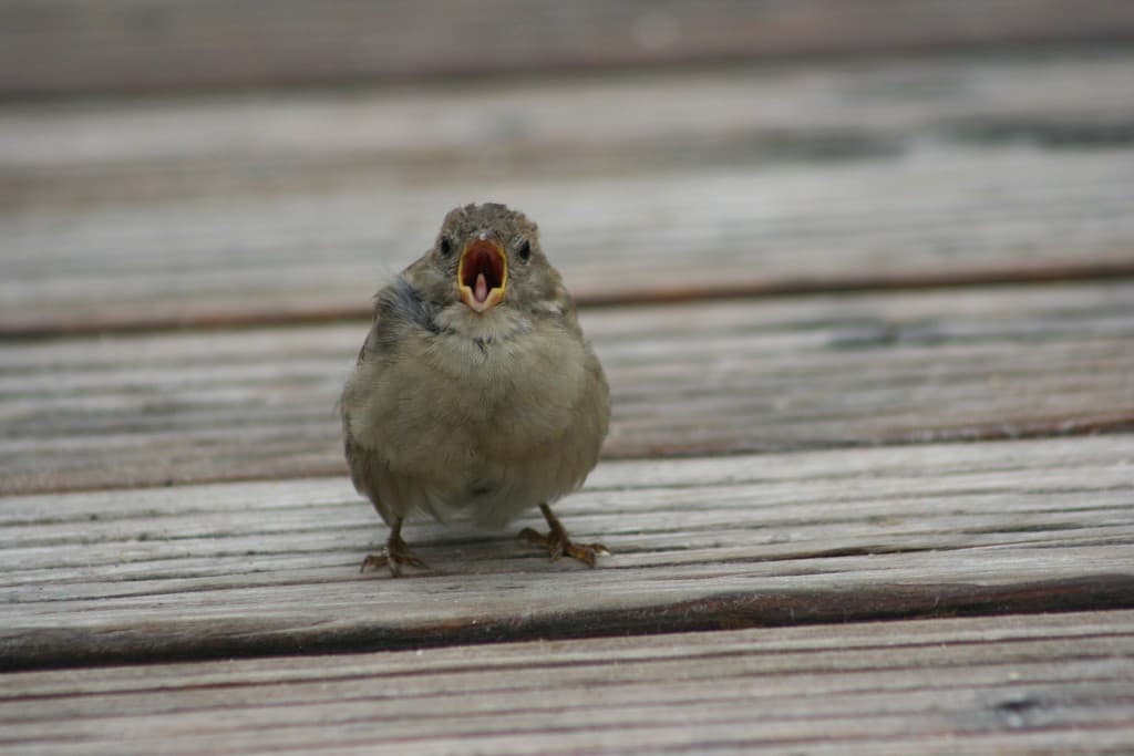 Enfin! journée sans pluie(N.M)