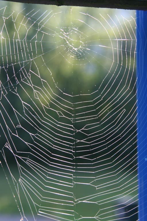 Et si on se faisait une toile? (N.M)