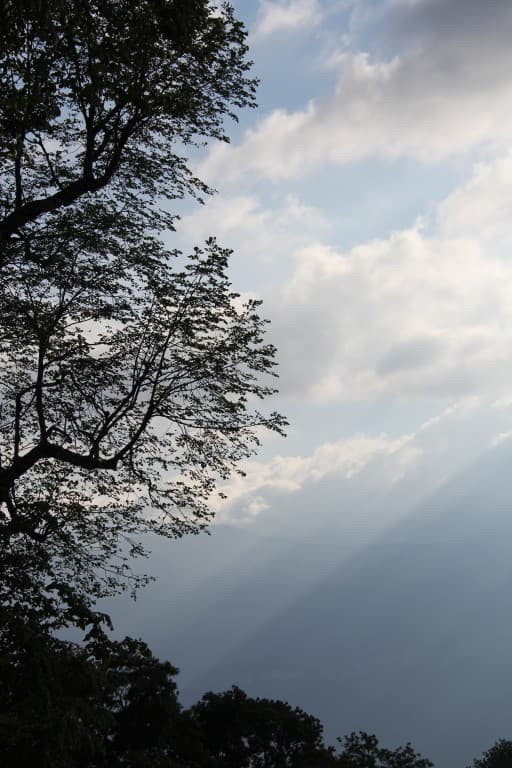 Fin d'après midi (EL)