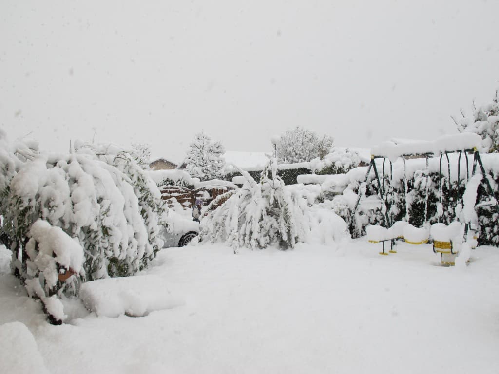 Jardin sous la neige