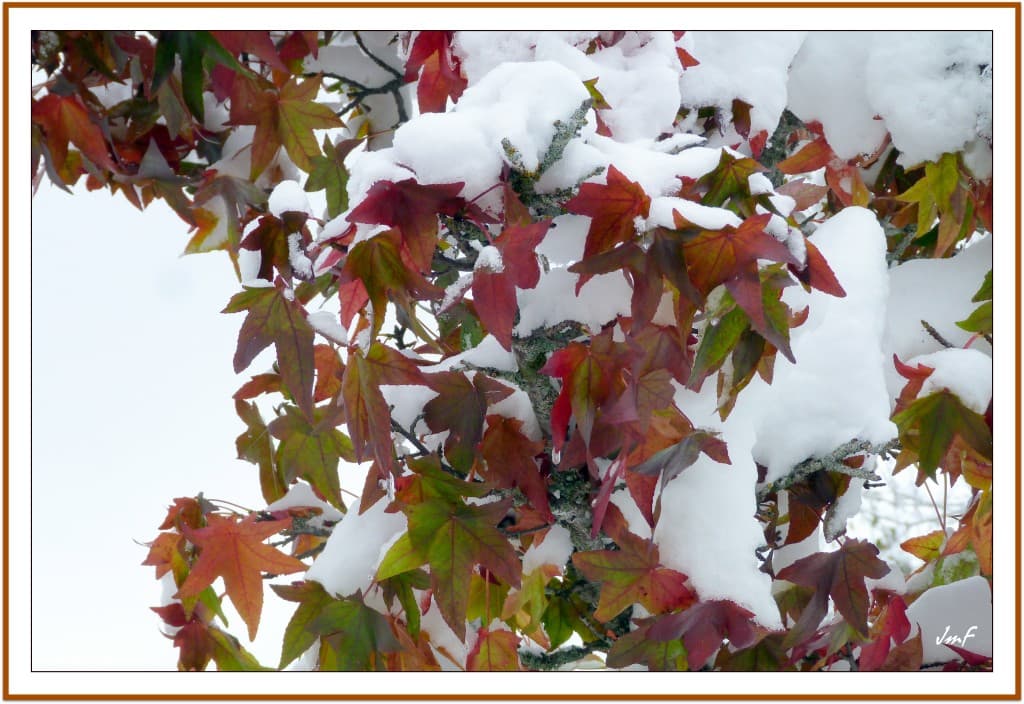 l'hiver flirte avec l'automne