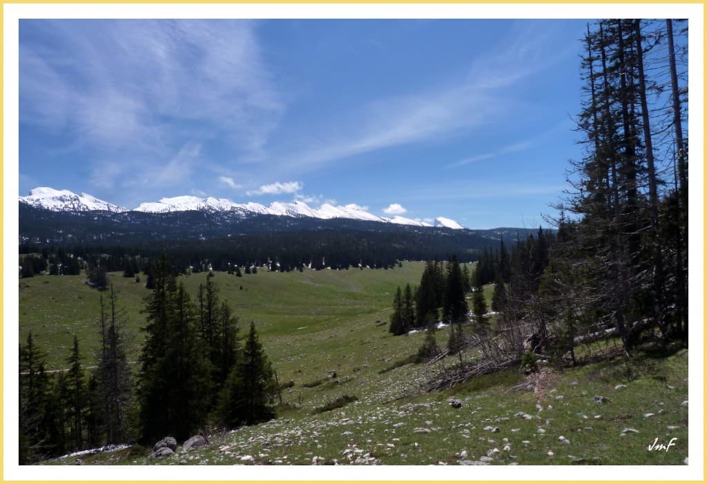 la prairie de Darbounouse