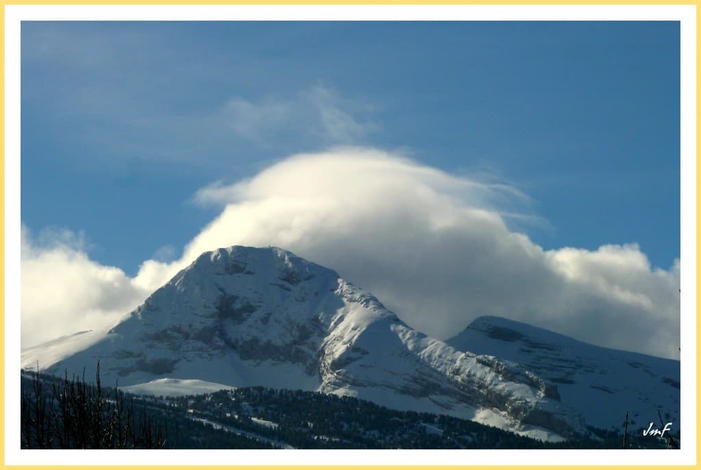 le chapeau sur la Gde Moucherolle