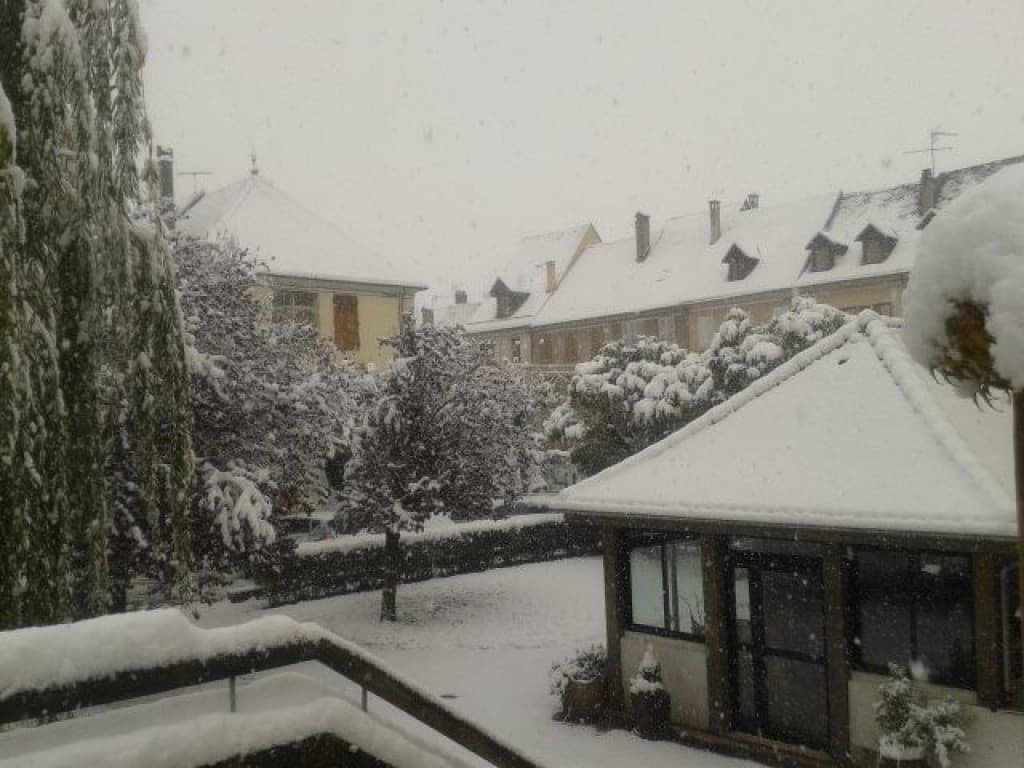 le jardin de mens sous la neige 