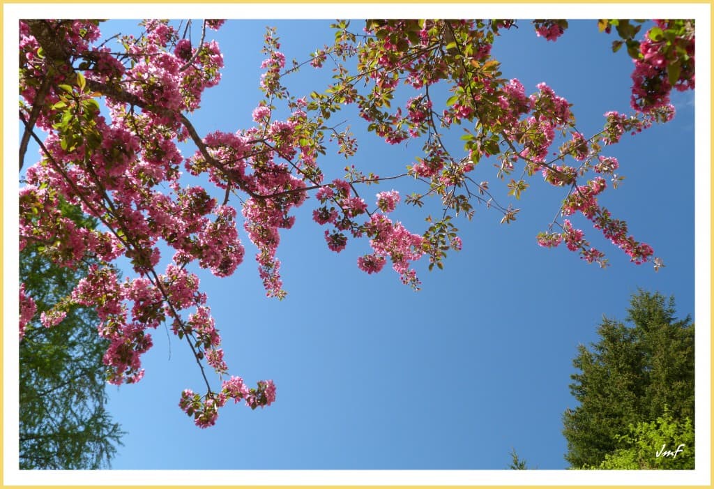le printemps...