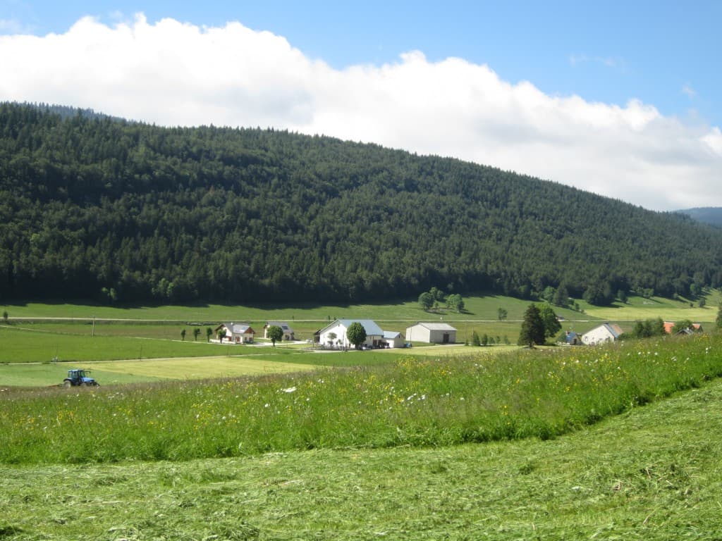 Les foins à Eybertière (LM)