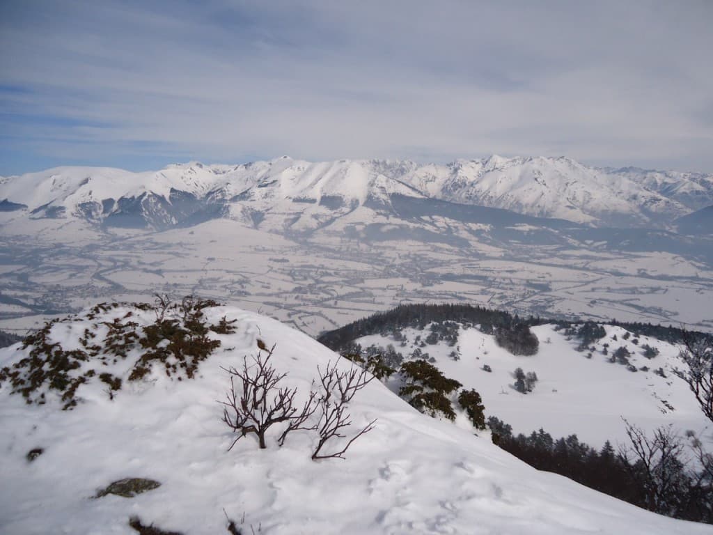 Les Signaraux