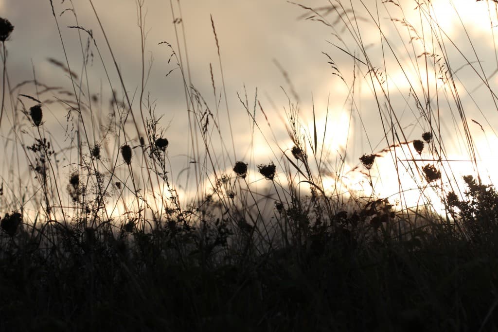 Lumière du soir (EL)