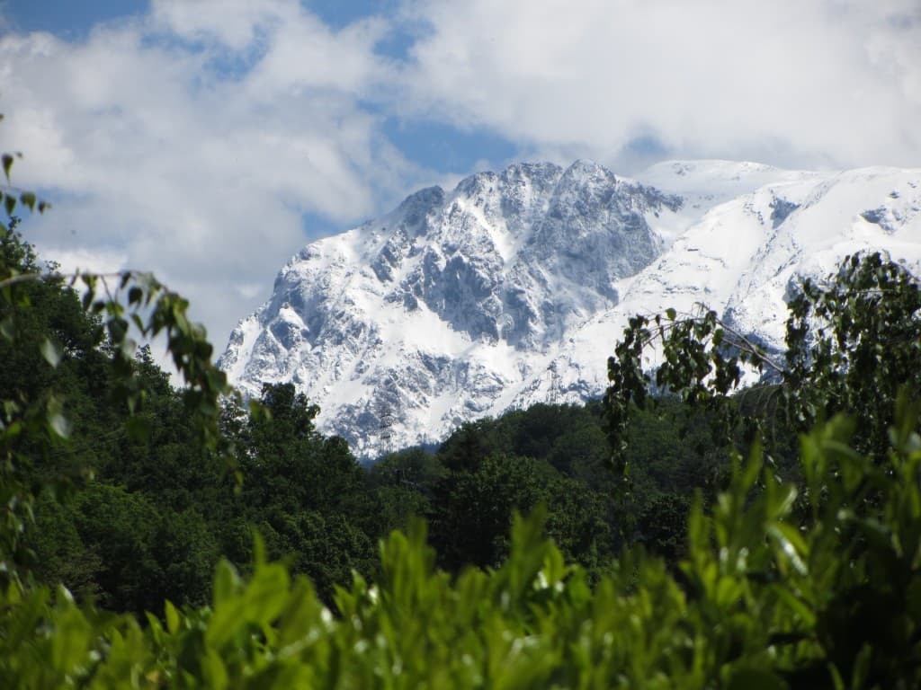 Magnifique Taillefer