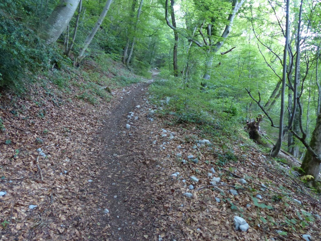 Marche à l'ombre!