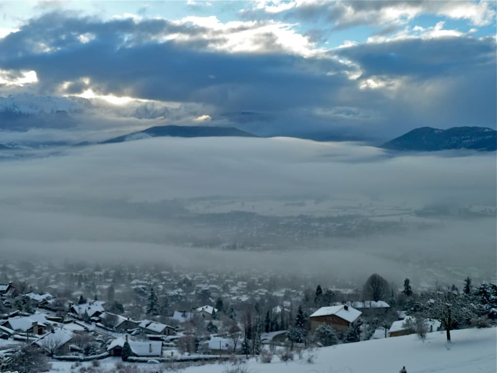 Matinée humide (M. Alter)