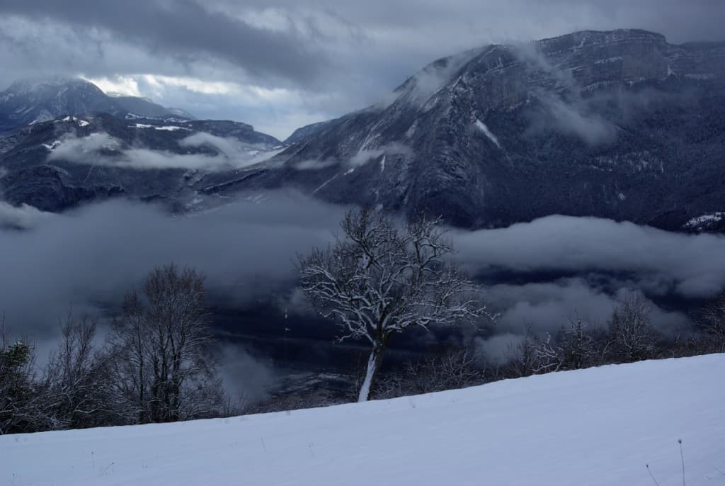 neige