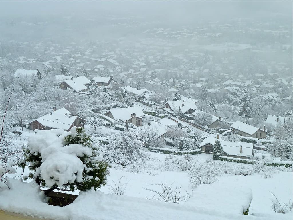 Neige au réveil (M. Alter)