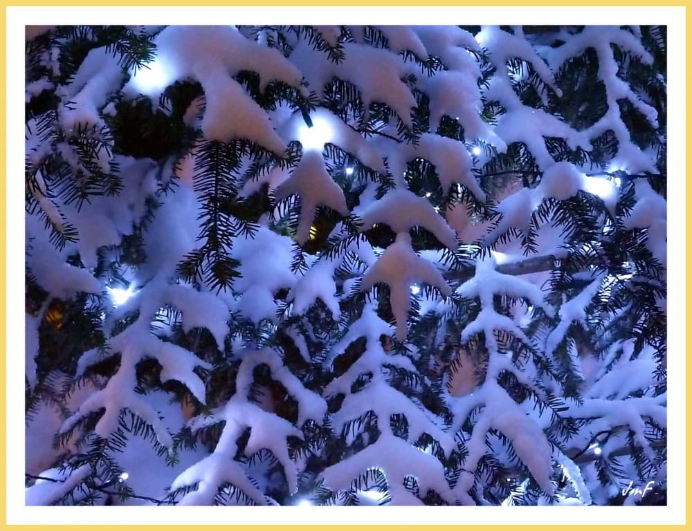neige et lumière