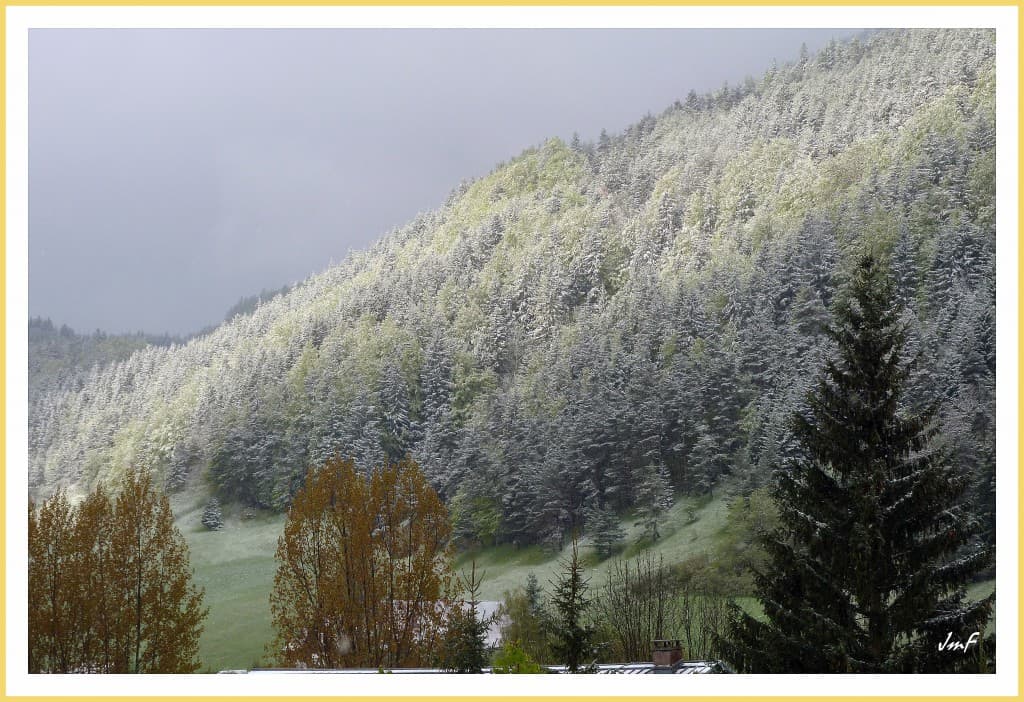 neige sur le printemps