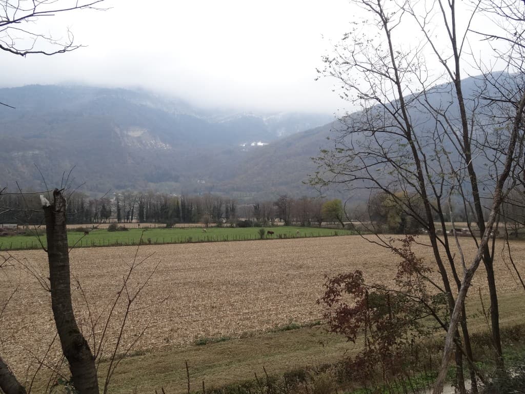 Noyarey