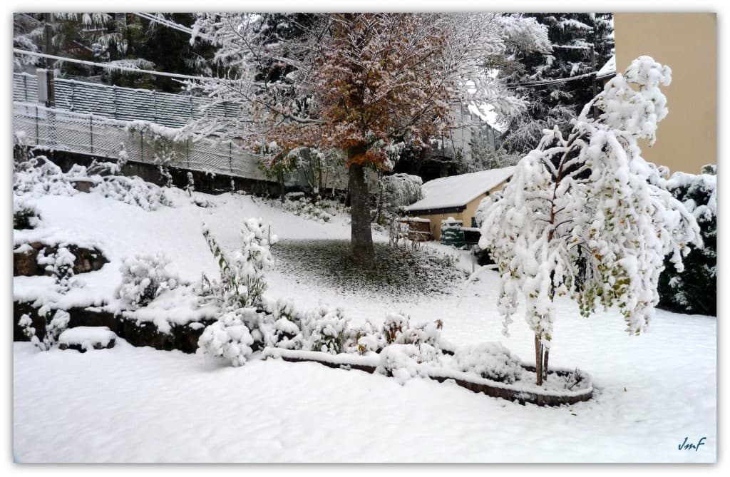 première neige à 1000 m