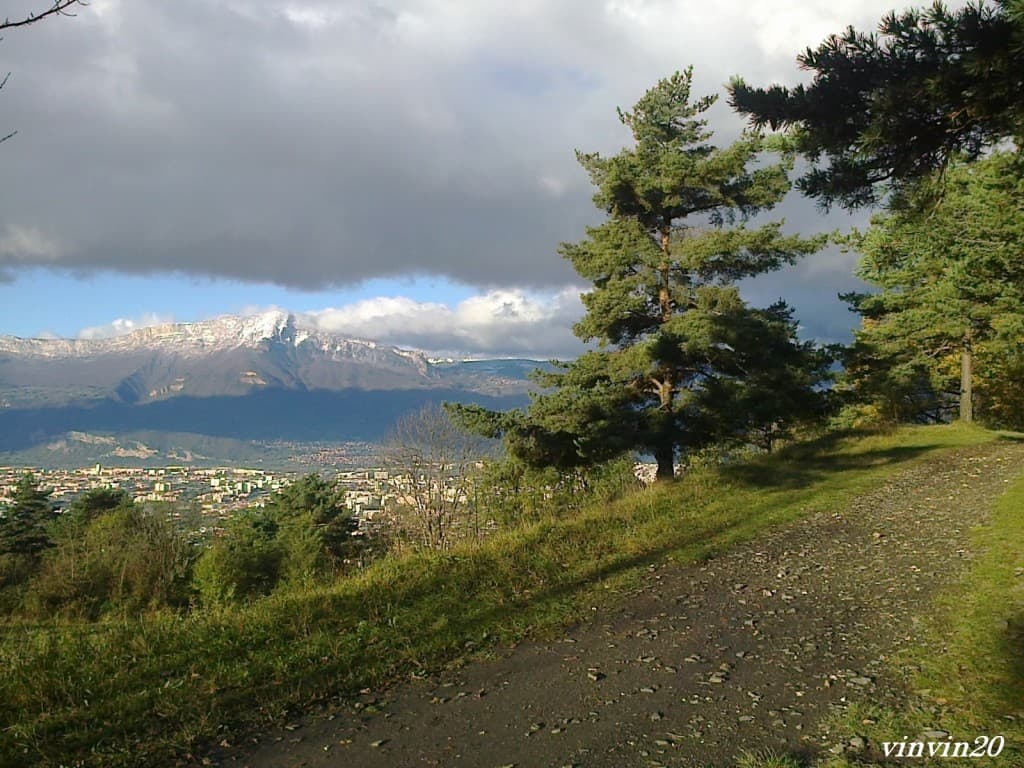 Premiers rayons de soleil 