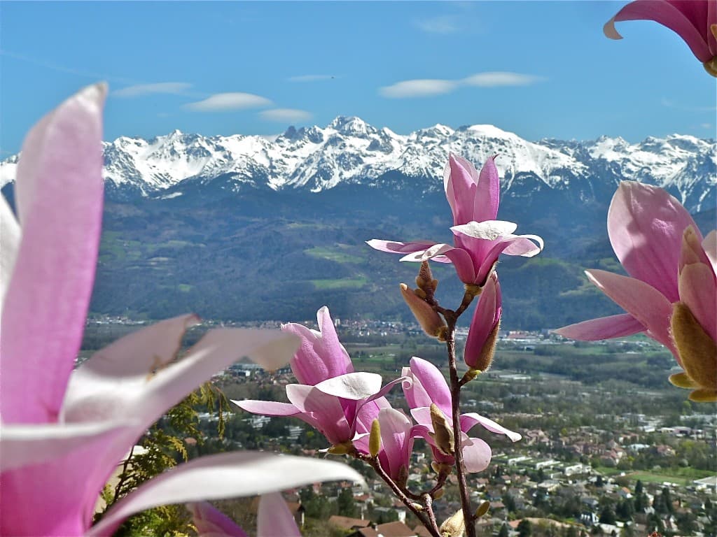 Printemps et hiver... (M.Alter)