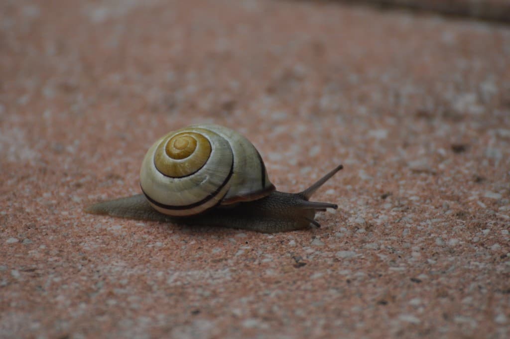 Quel beau temps, pour moi Albert!!!!!!