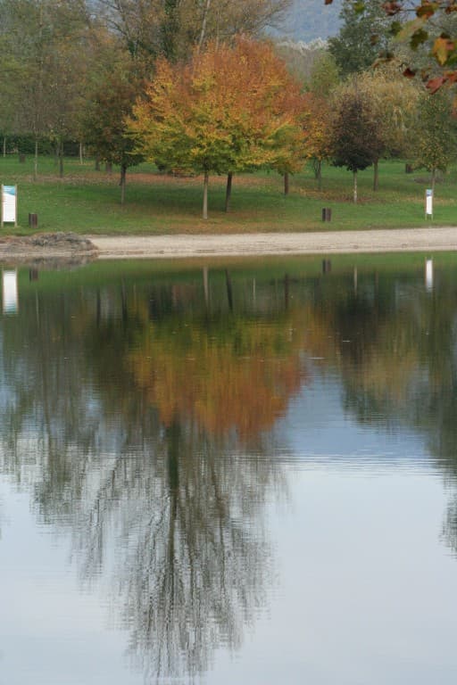 Reflet automnale(N.M)