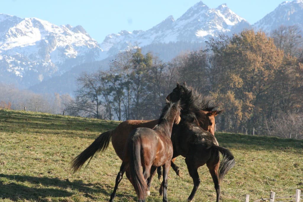 Rien de plus vrai que la nature(N.M)