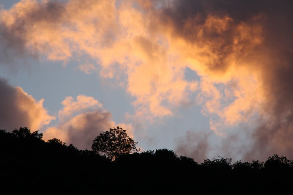 Splendeur d'un soir d'été (EL)
