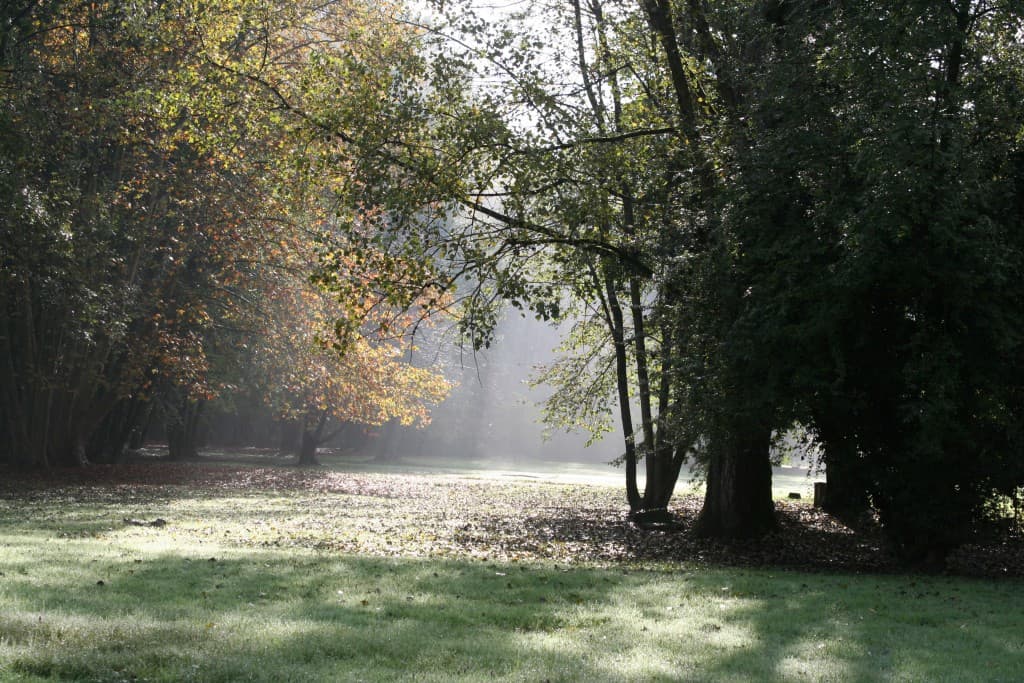 Suite: couleur automnale(N.M)