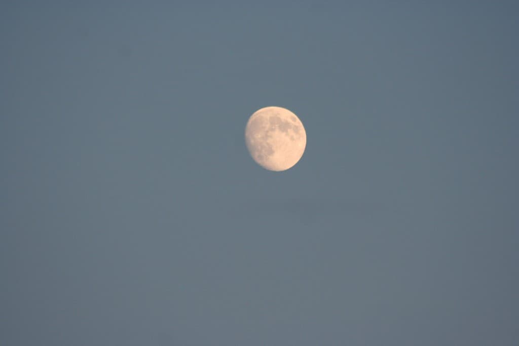 tiens, revoilà la lune (N.M)