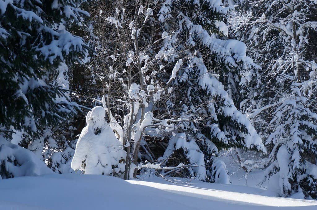 un bonhomme de neige long vêtu