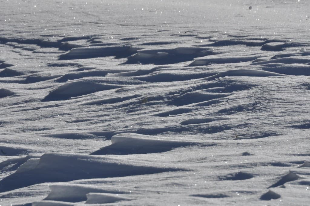 Vagues de neige ....