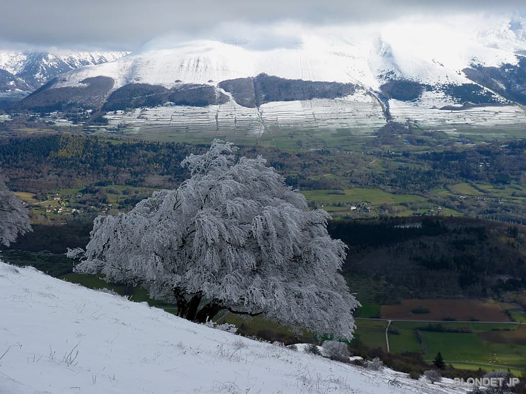 Vallée entre Laffrey et Pétichet