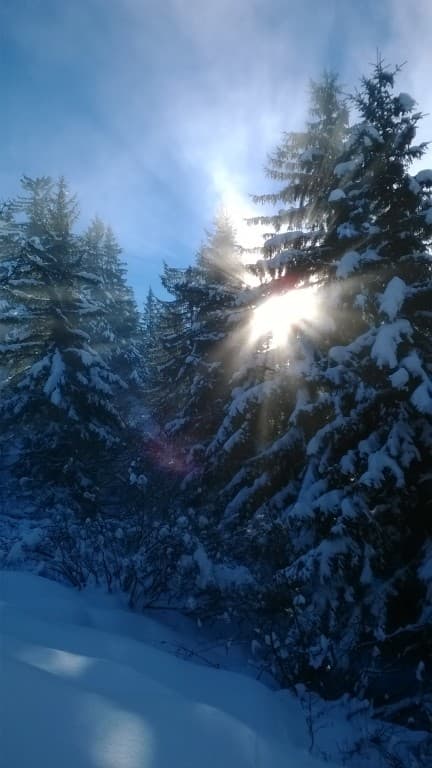 Apparition