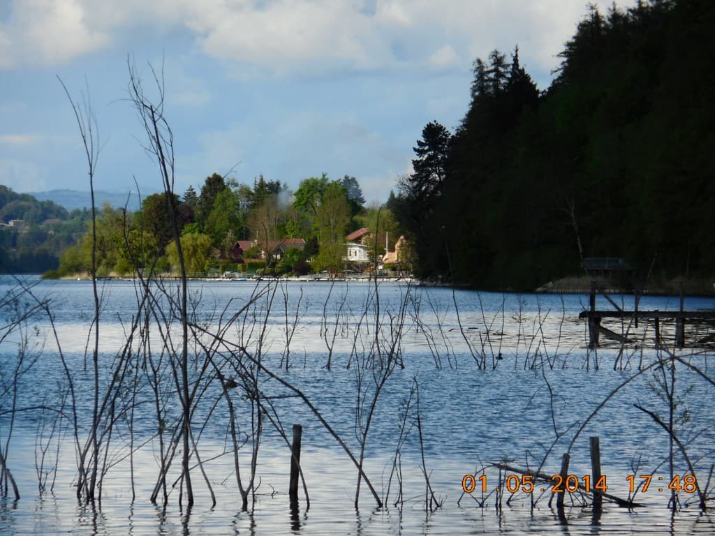 Au bord du lac