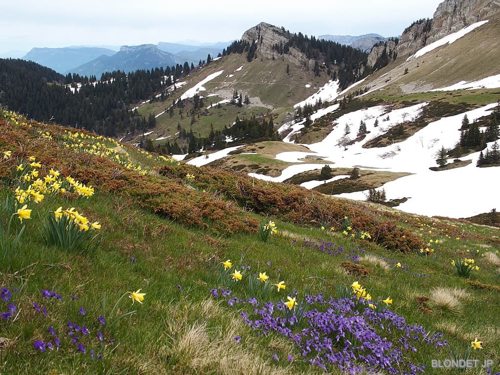 Au col de la Sure