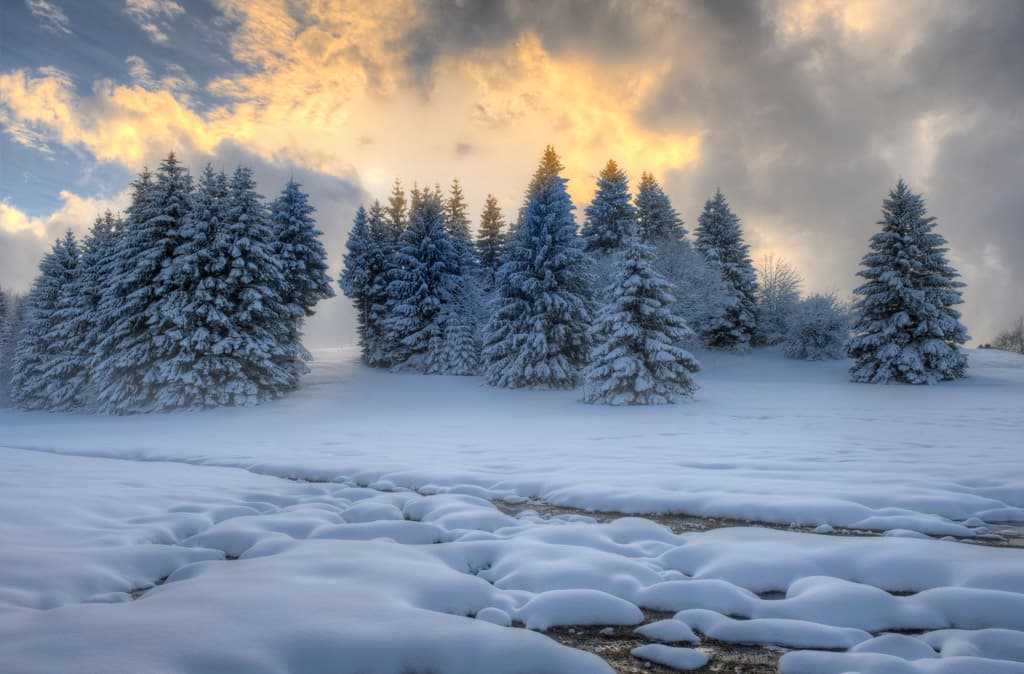 au pied du crêt de la Goutte