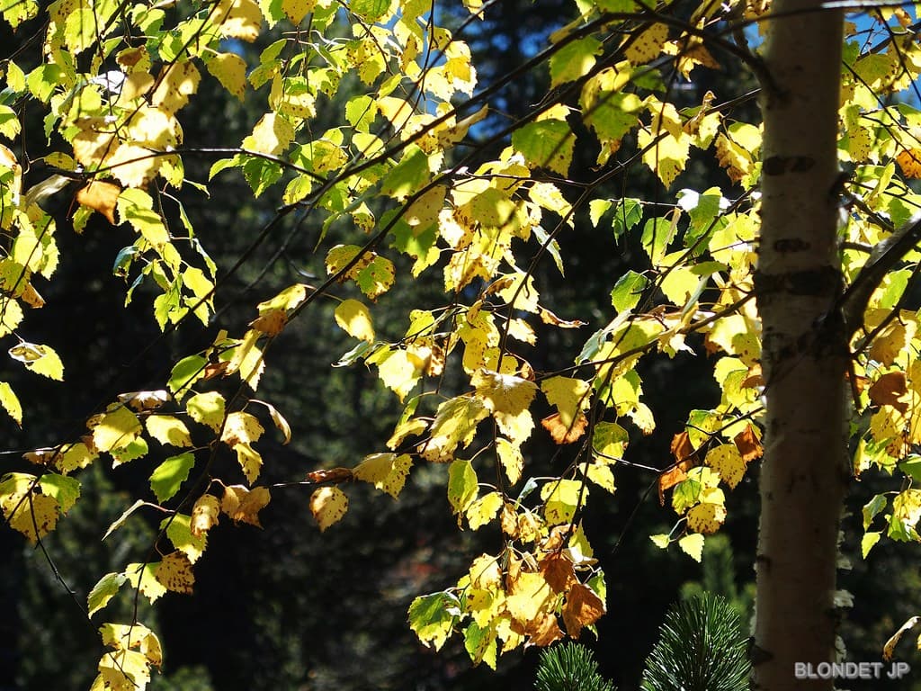 Automne vers les lacs Achards