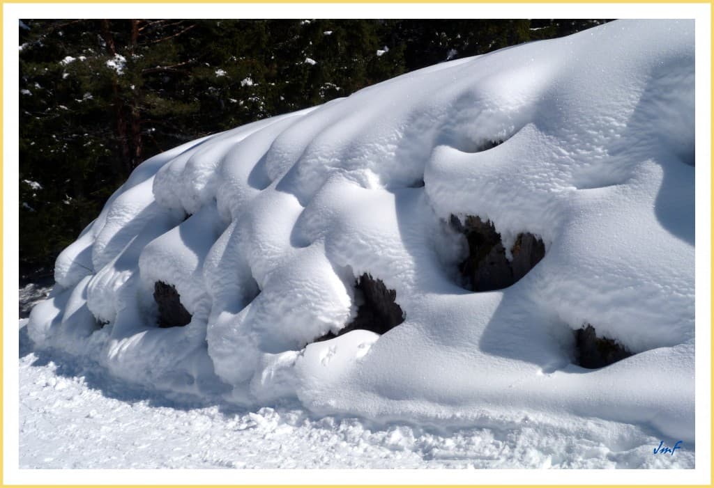bon enneigement en forêt du Vercors