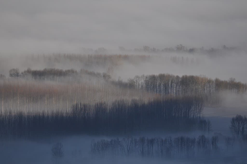 Brume de Janvier..