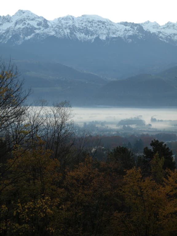 brume matinale