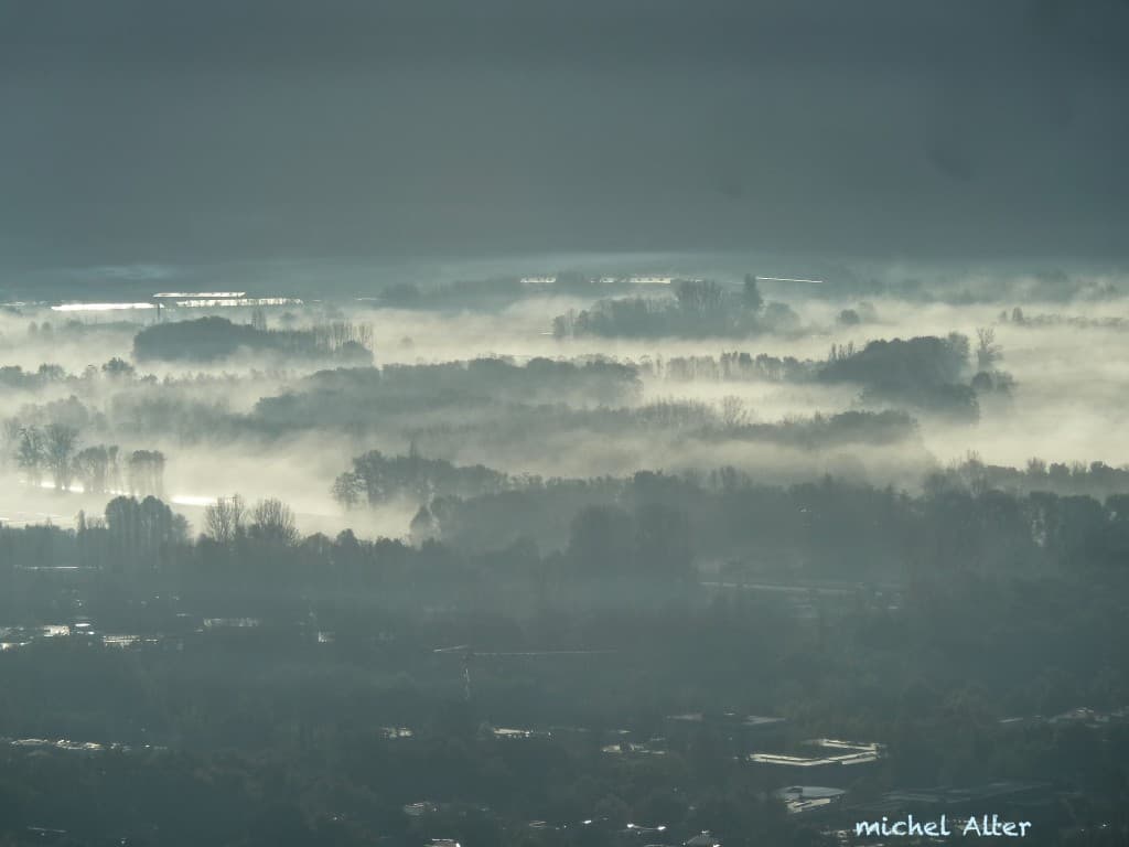 Brumes matinales